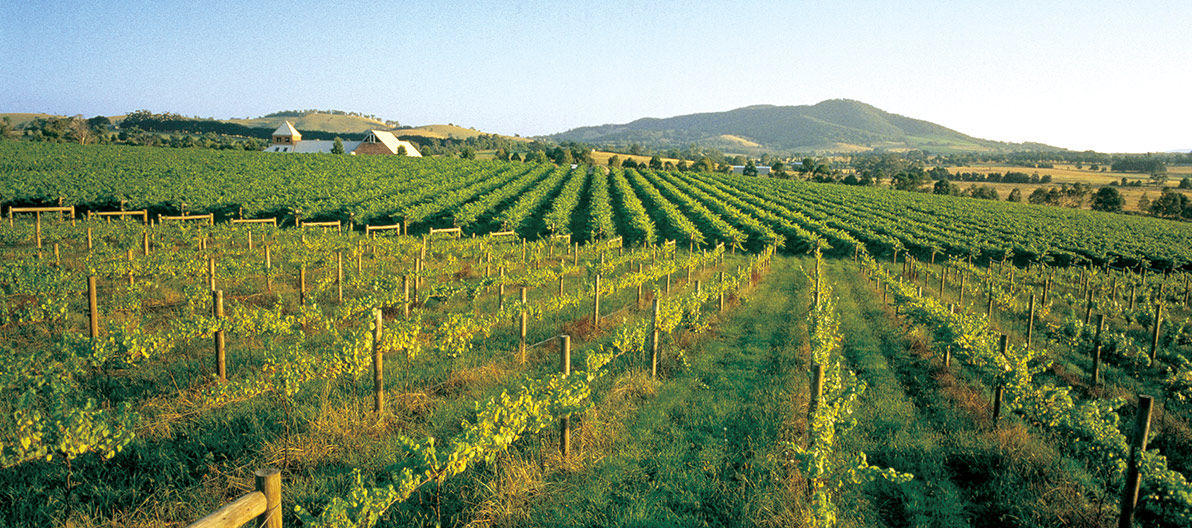 Rochford Yarra Valley