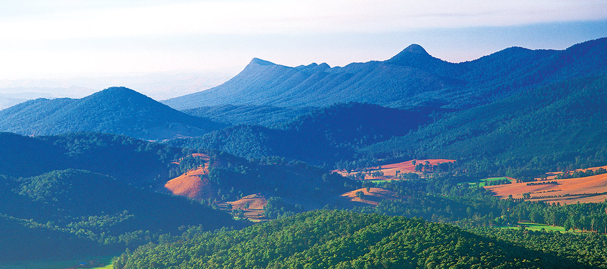 Dandenong Ranges, Victoria