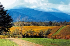 yarra valley scenery 269x175
